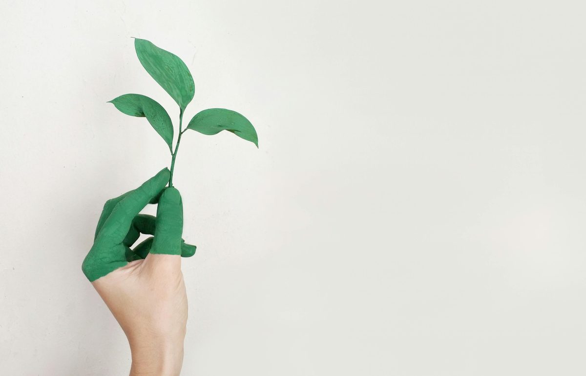 Licenciamento Ambiental e a competência dos órgãos públicos